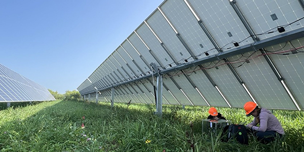 Picture researchers under solar panels